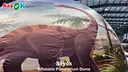 Inflatable Movie Theater Tent